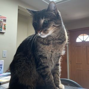 Meet your Posher, Maria